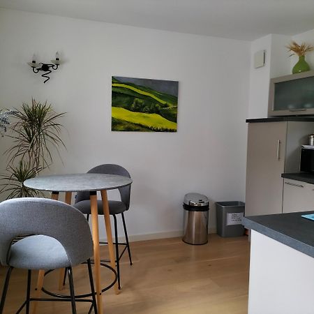 Appartement Salamandre Orléans Exteriér fotografie