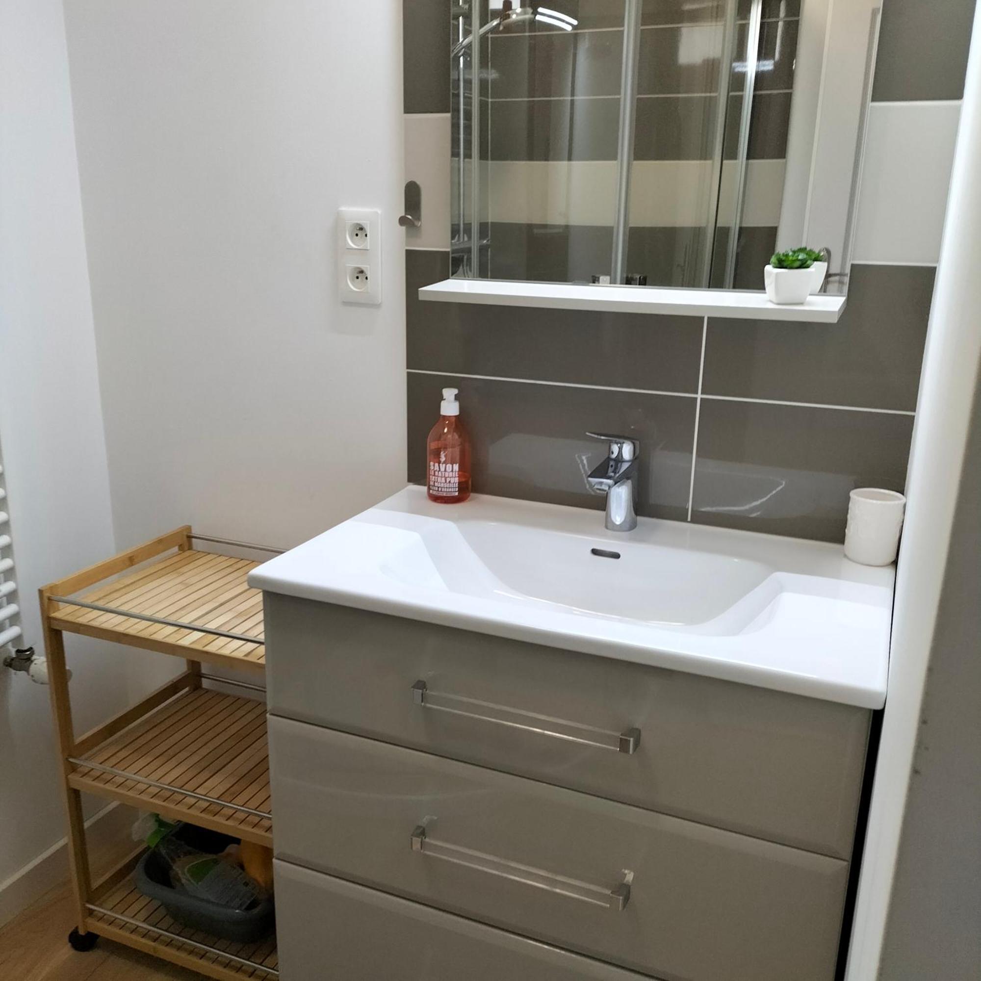 Appartement Salamandre Orléans Exteriér fotografie
